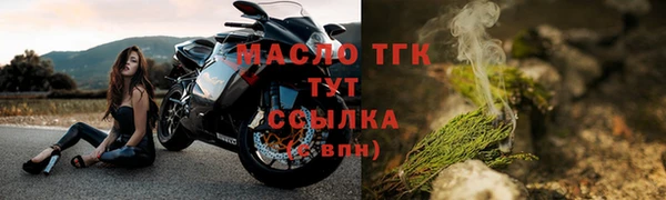 МДПВ Богородск