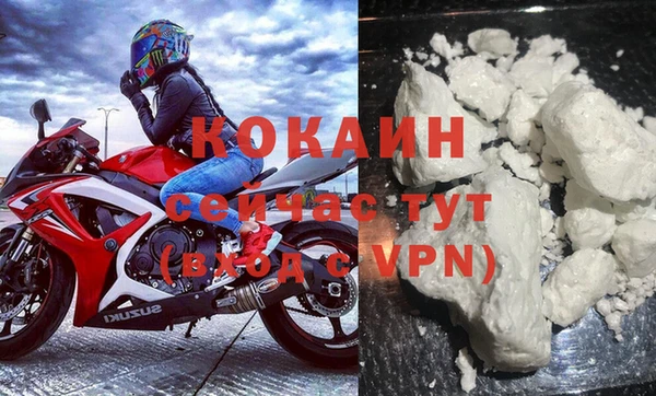 прущий лед Богданович