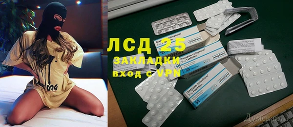 прущий лед Богданович