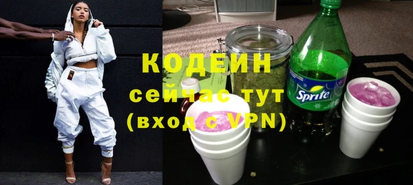 МДПВ Богородск