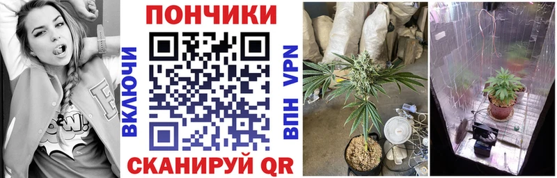 купить   Сухиничи  Канабис марихуана 